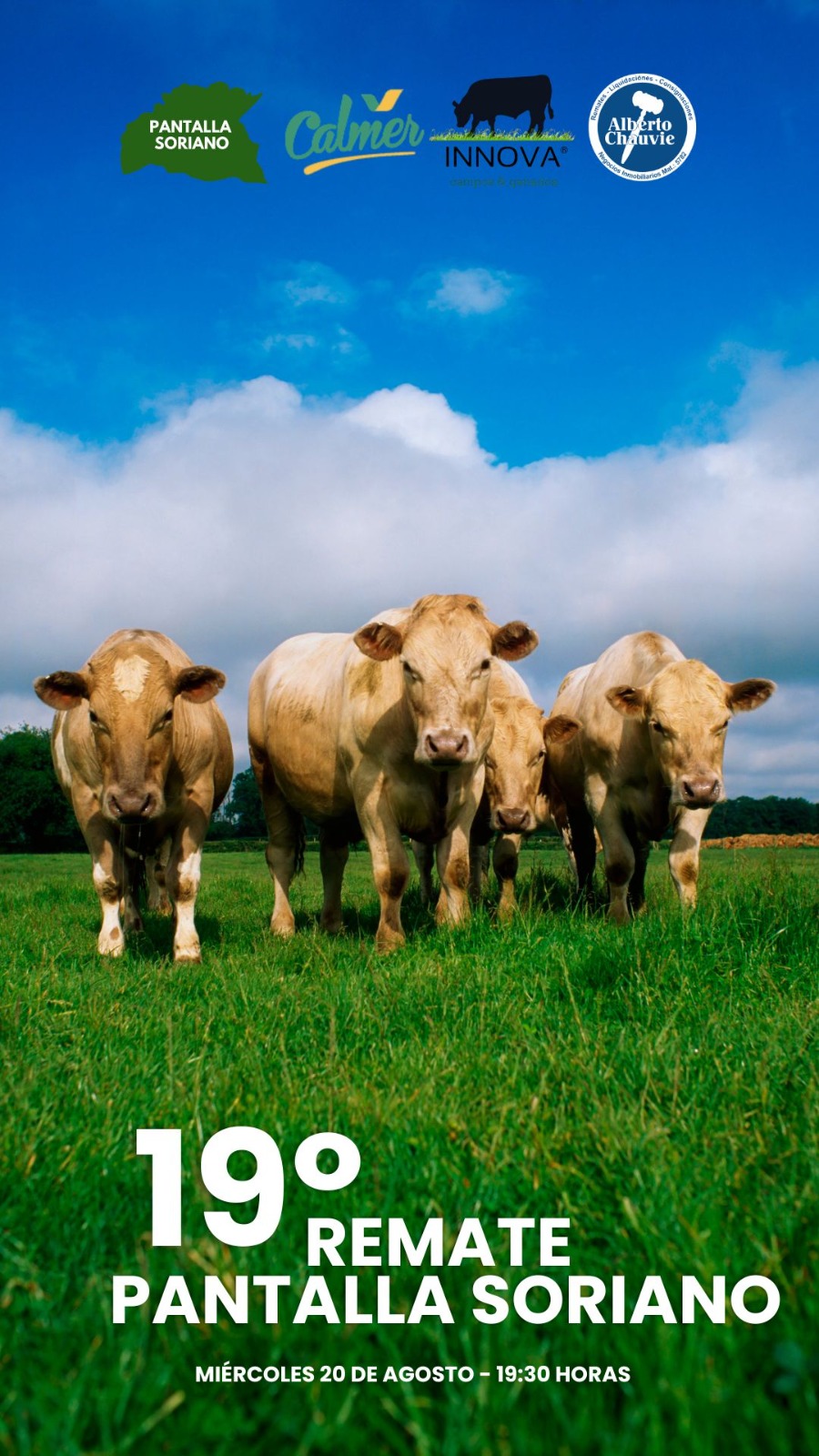 19º Remate - Pantalla Soriano